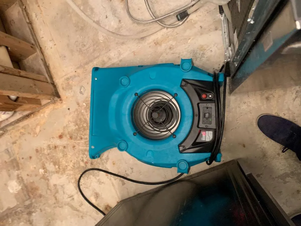 Air mover drying equipment for Mold Remediation & Removal in Alamosa