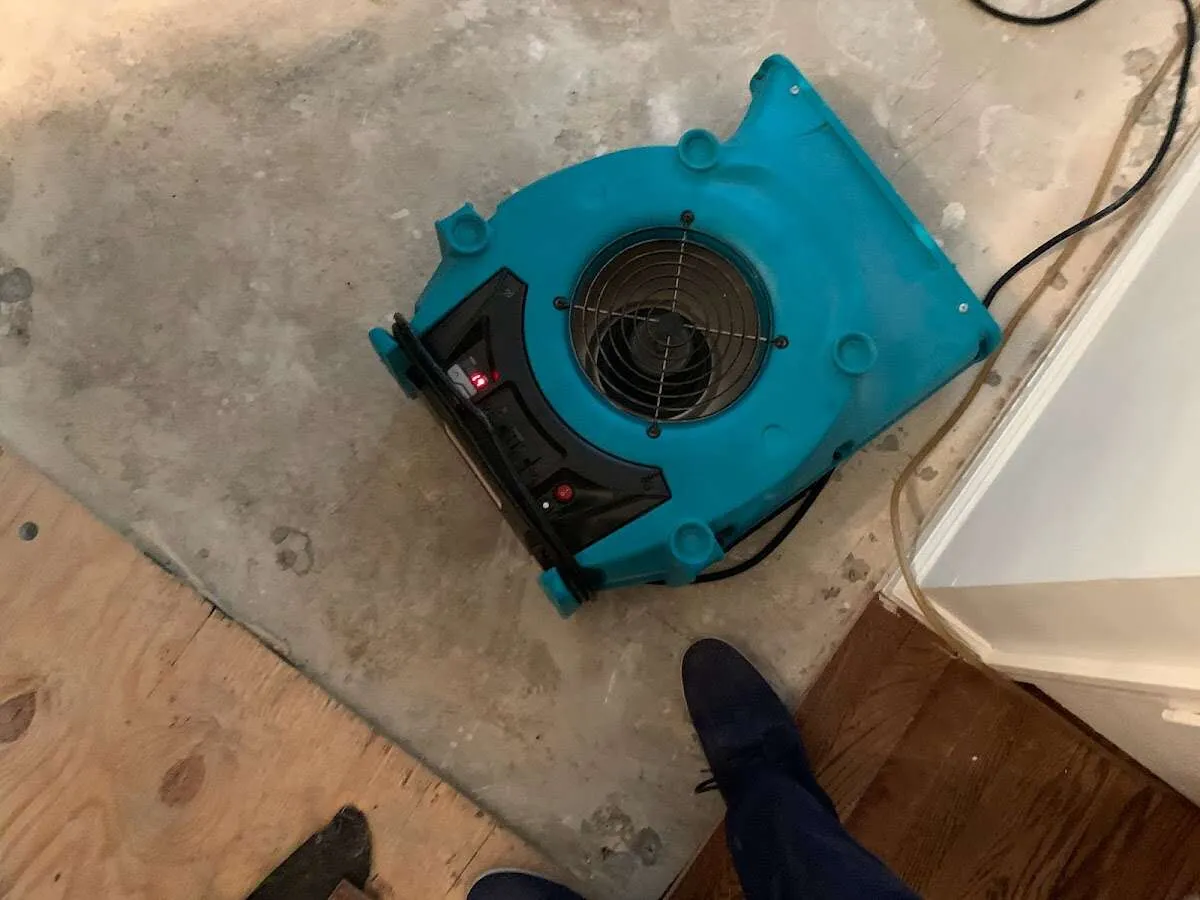 Air mover drying subfloor during Leak Detection & Repair in Alamosa